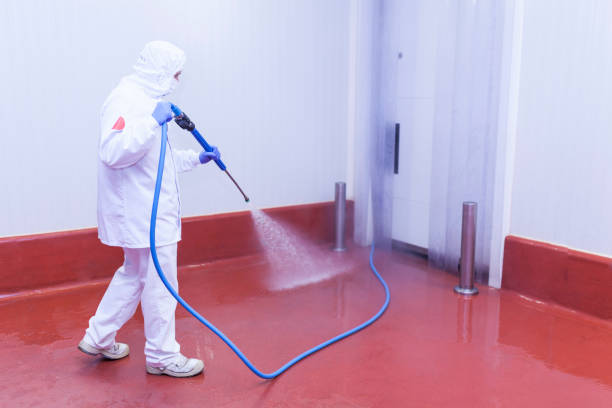 Best Dumpster Area Cleaning  in Sierra Madre, CA