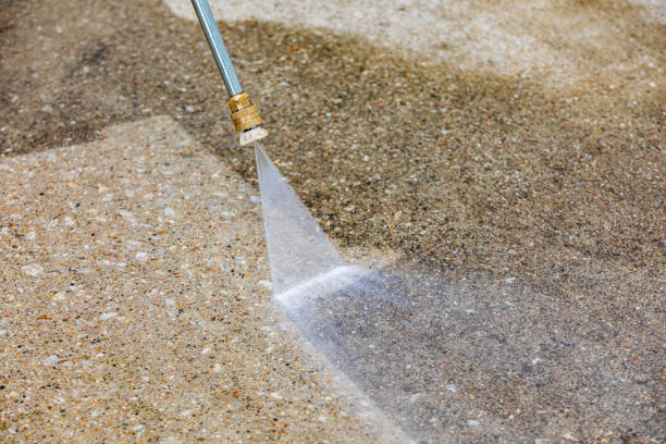 Animal Enclosure Cleaning in Sierra Madre, CA